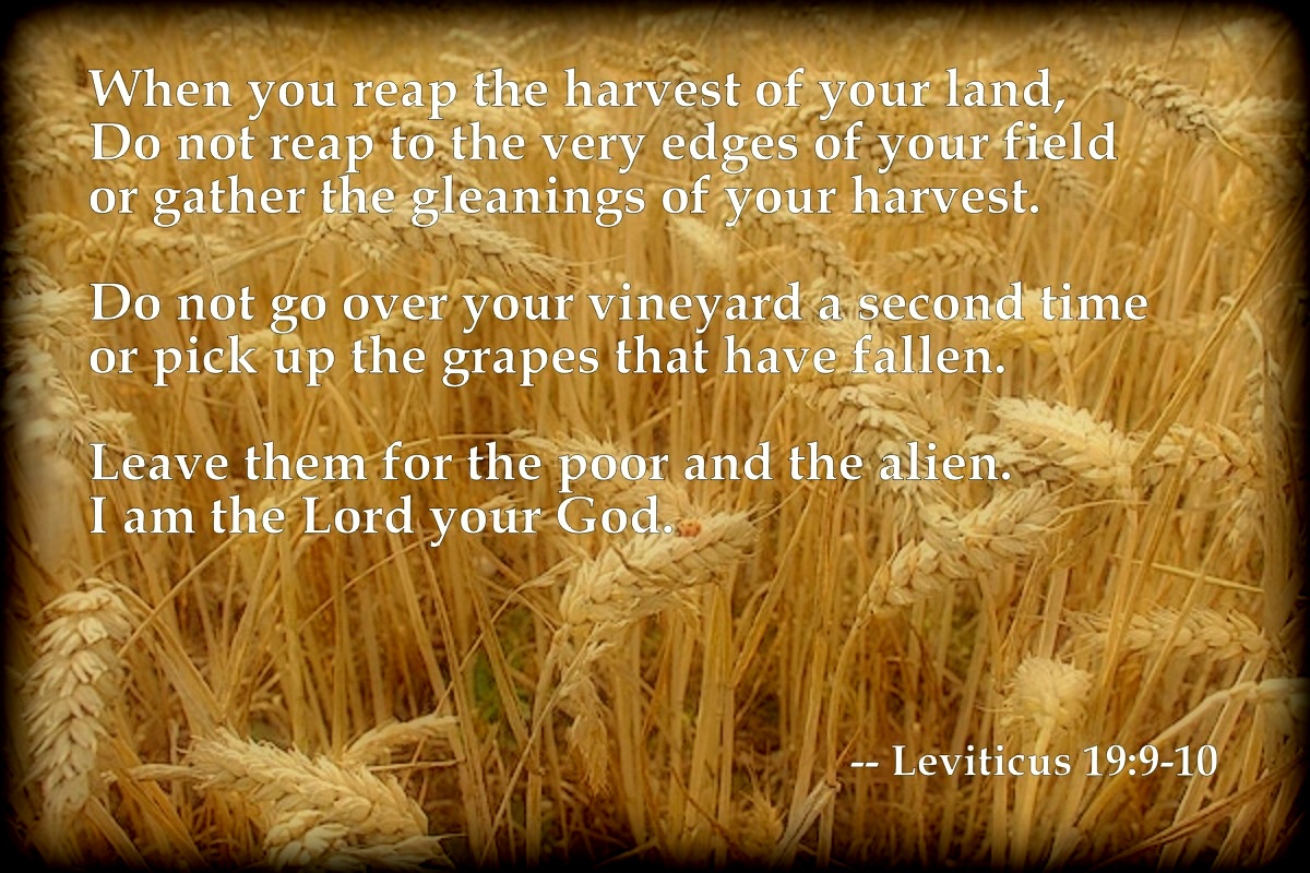 Leviticus chapter 19, verses 9 and 10